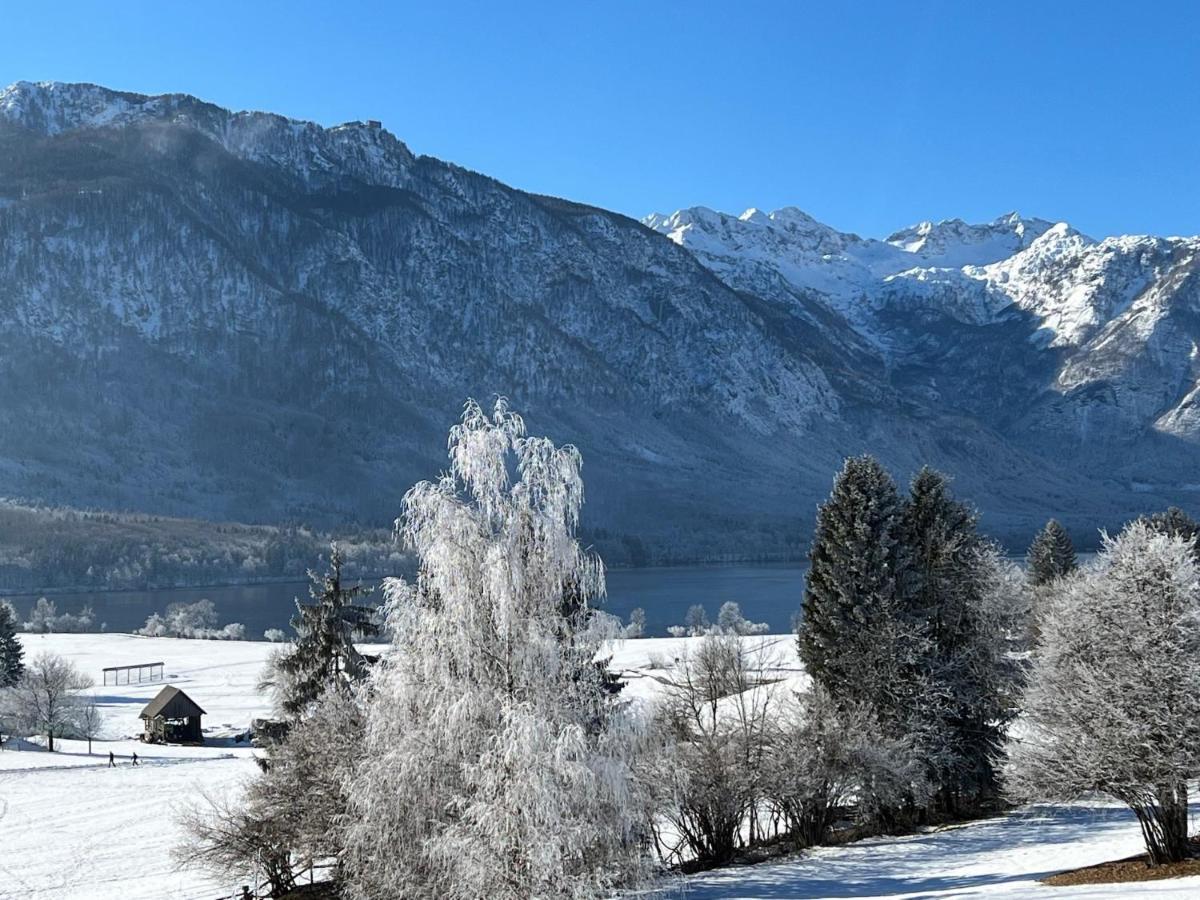 Gloria Holiday - Apartment Bohinj Exterior foto